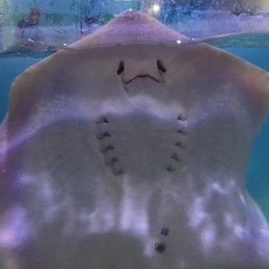 Meet your Posher, Anna-cate